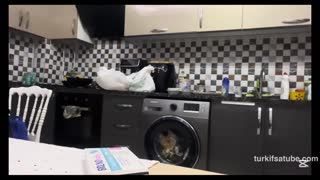 Buse’in life Youtube Katıl ifşa Videoları - 🌟19 Posteri