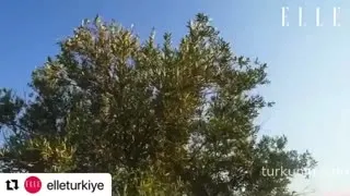 Aybüke Pusat seksi ifşa videoları part 33 - Turkunlu üzerinde izle
