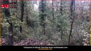 Kız üvey kardeşi ormana çekilmiş araba. Posteri