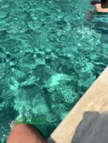 LetsNudeit Premium ifşa videoları 15.06.2025 part 19