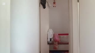 Emine Çoşkun Patreon ifşa videoları 03.08.2025