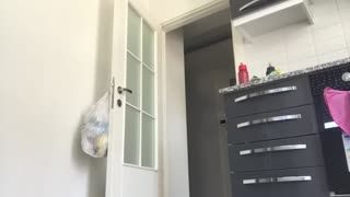 Gözdenin kanalı youtube ifşa - Temizliği Vlog arşiv videoları Part 91 Posteri