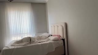 Fatma ile Her Telden @türbanlıtemizlikevhanımı Kanalı Canlı Yayın videoları Part 10 Posteri