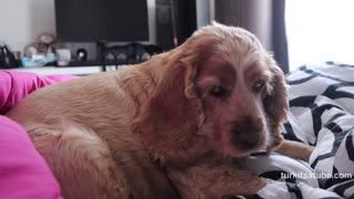 Ecem Kemer Youtube Katıl ifşa - Mini ev vlog | bir günde neler yiyorum 🥦günlük ev işleri🧽 antep fıstıklı latte ☕️ Posteri