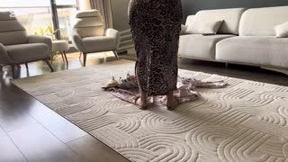 Fatma ile Her Telden @türbanlıtemizlikevhanımı  Kanalından ifşa videoları Part 3