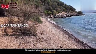 Sahilde çıplak kız üvey kardeşimi ağzına soktuğumda şok oldu Posteri