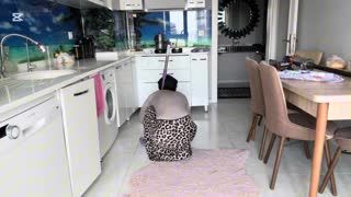 Esma ile Her Telden temizlik videoları vol 2 Posteri