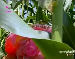 Tuğba Özay – ateşli sahnesi – Her Şey Yolunda - Turkunlu üzerinde izle