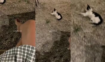 Ayşe Özyürek – Instagram görüntüleri - Turkunlu üzerinde izle