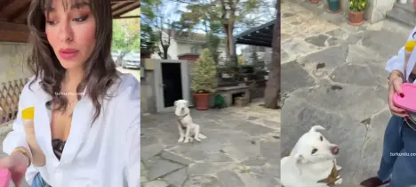 Eda Yıldırım – Instagram görüntüleri, 2025-11-27 - Turkunlu üzerinde izle