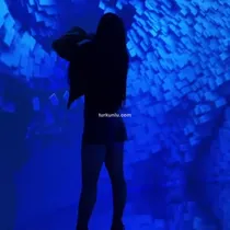 Elif Türkoğlu – Instagram görüntüleri, 2024-10-31 - Turkunlu üzerinde izle