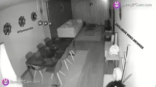 Husband Catches Wife Fucking The Neighbor On Hidden Cam — animated preview