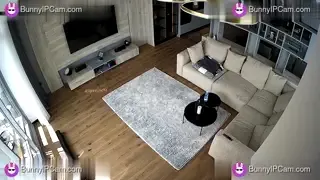 Couple Starts Kissing Sweetly Then Strips And Fucks On The Couch — animated preview