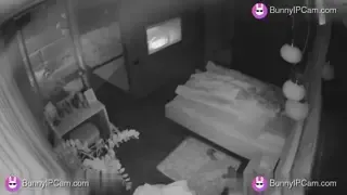 Horny Couple Fucks Hard In Bed After Flirting All Day — animated preview