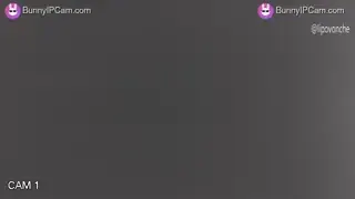 Hidden Toilet Cam Catches Her Pissing and Wiping Every Morning — animated preview