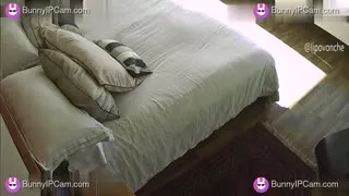 Husband Pounds Wife Doggystyle Then Missionary On Marital Bed — Watch on BunnyIPCam