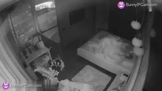 Horny Wife Begs Him To Fuck Her Hard From Behind And He Pounds Deep — Watch on BunnyIPCam