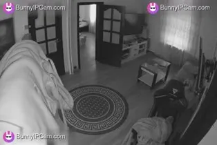 Horny Lonely Guy Jerks His Cock Hard To Lesbian Porn On His Laptop — Watch on BunnyIPCam