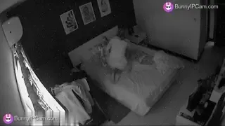 Horny Girl Humps Pillow Like a Wild Bitch in Heat — animated preview