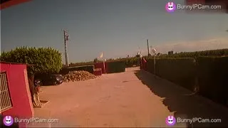 Stepdaughter Drops To Knees And Sucks Stepdad's Cock Right After Walking In From Study Group — Watch on BunnyIPCam