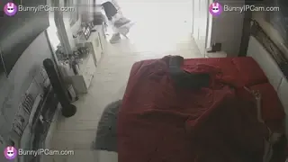 Horny Wife Hides Under Covers Watching Porn But Gets Interrupted — animated preview