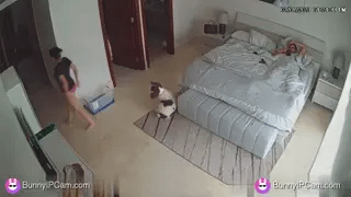 Horny Couple Fucks Hard While Totally Unaware They're Being Filmed — animated preview