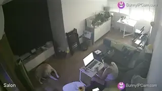 Pregnant Mom With Huge Tits Rubs Her Wet Pussy On Work Break — animated preview