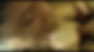 Tango Şirin Harka Saksolu Videoları part 3 Ön İzleme
