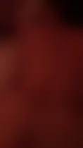 Tango Şirin Harka Saksolu Videoları part 1 Ön İzleme