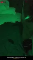 Elif Rosse'nin Sakso Yaptığı Bayana Kıydı Ön İzleme