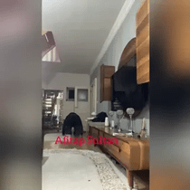 Gencayak (Kömür Kedi) Ön İzleme