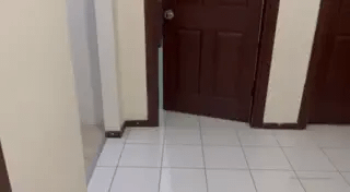 Kurtlanık sürüdürülen halka hoplar Ön İzleme