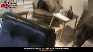 Çıplak Film Kardel Bayanı Çekici Giydirdi Ön İzleme