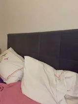 Stripchat Yaprak Meriç ifşa videoları Part 106 Ön İzleme