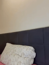 Stripchat Yaprak Meriç ifşa videoları Part 63 Ön İzleme